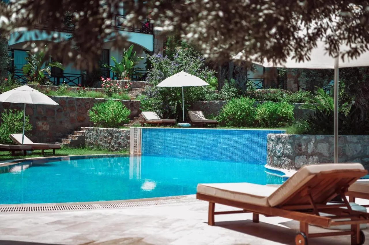 Amore Boutique Hotel 亚力卡瓦克