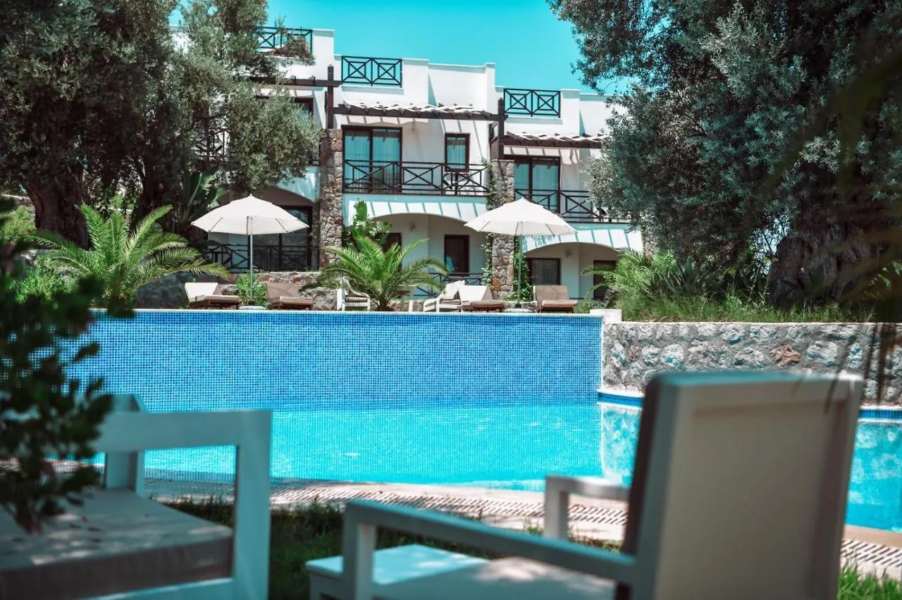 Amore Boutique Hotel 亚力卡瓦克